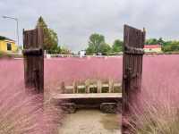 ํํฌ๋ฎฌ๋ฆฌ์์ ์ธ์์ท ๊ฐ๋ฅ!! ํํ ์ฌ์ง๋ช
์, ์์์ถ์ฒ!!