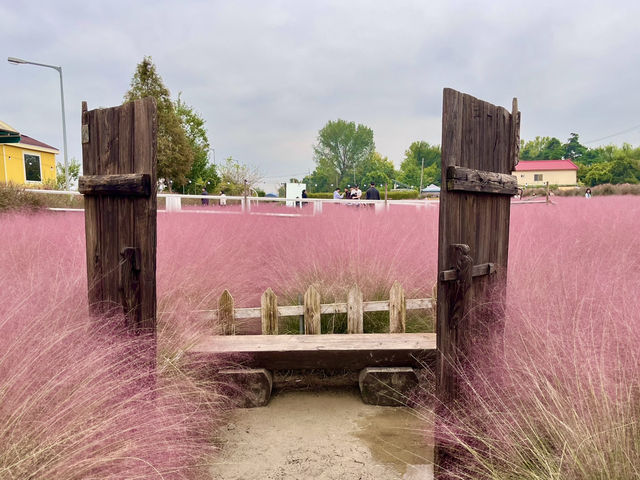 ํํฌ๋ฎฌ๋ฆฌ์์ ์ธ์์ท ๊ฐ๋ฅ!! ํํ ์ฌ์ง๋ช
์, ์์์ถ์ฒ!! ํํฌ๋ฎฌ๋ฆฌ์์ ์ธ์์ท ๊ฐ๋ฅ!! ํํ ์ฌ์ง๋ช
์, ์์์ถ์ฒ!!