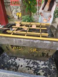 🇯🇵波上宮必去！沖繩最療癒的海上神社