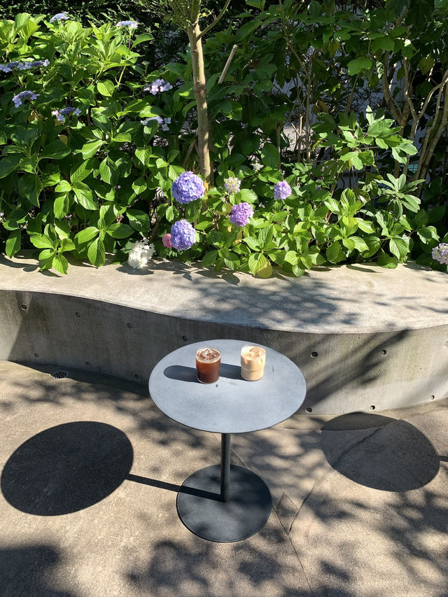 일본 도쿄 근교 가마쿠라 가볼만한 곳