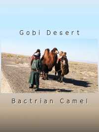 Gobi Desert – Mongolia & China