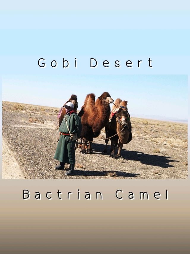 Gobi Desert – Mongolia & China