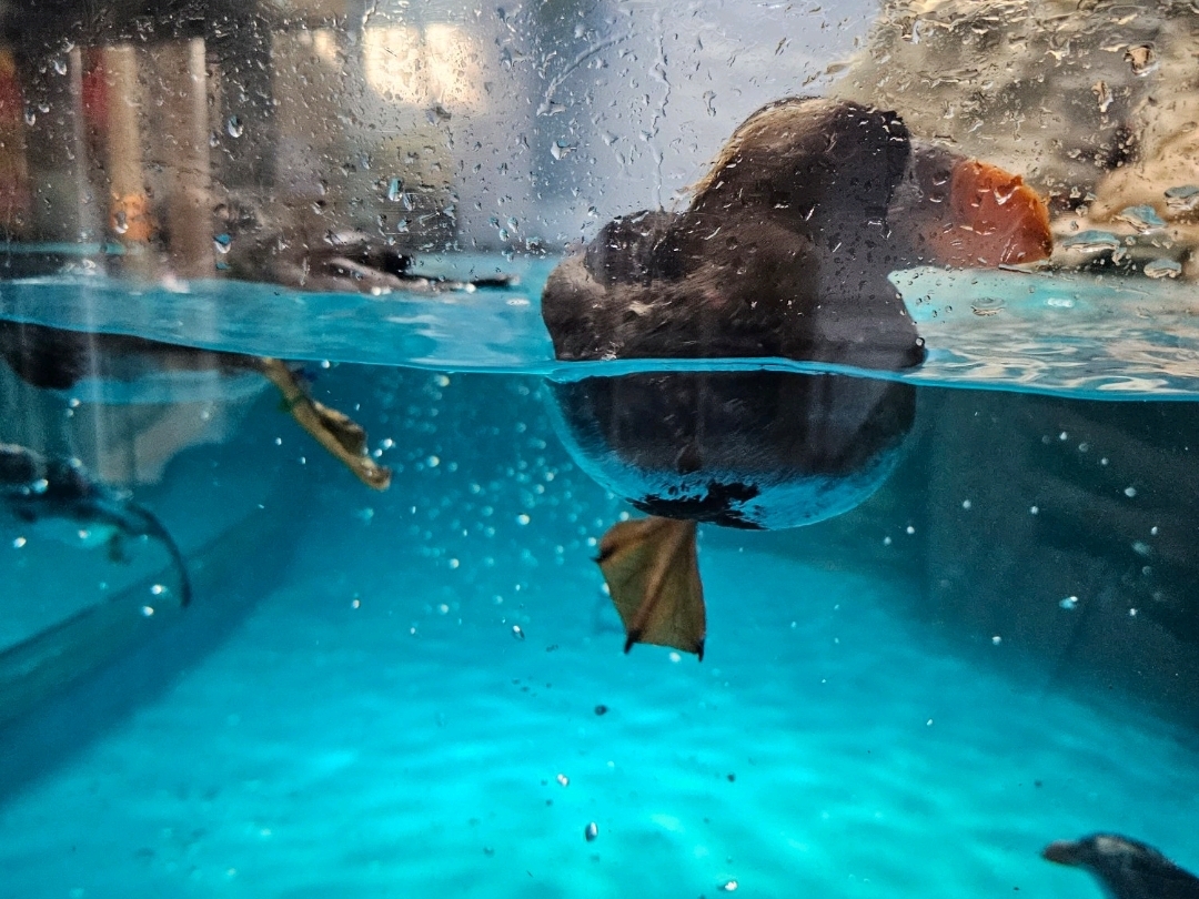 Oarai Aqua World 😍