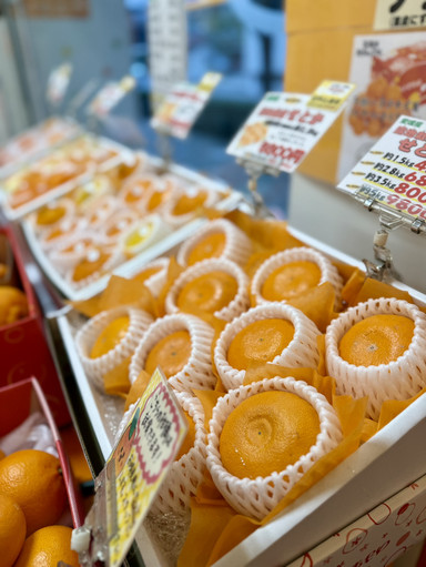 愛媛名産🍊新鮮なオレンジジュースが味わえる | Trip.com 松山