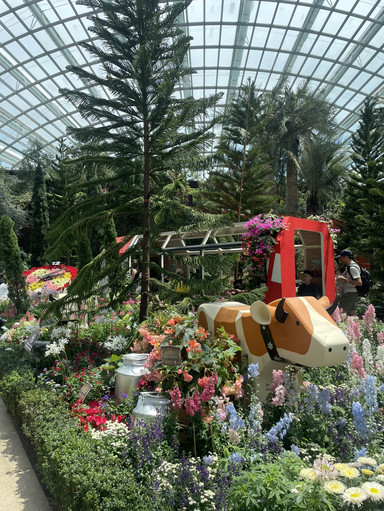 🌸世界最大級のガラス温室で花の世界を楽しむ | Trip.com シンガポール