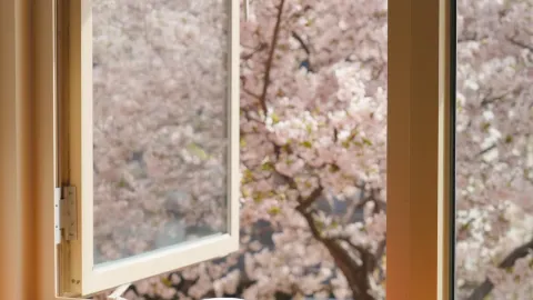 A fairytale-like cafe where cherry blossoms bloom the earliest🫧. — traveler post in Daegu
