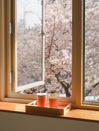 A fairytale-like cafe where the cherry blossoms bloom the earliest🌸🫧🤍