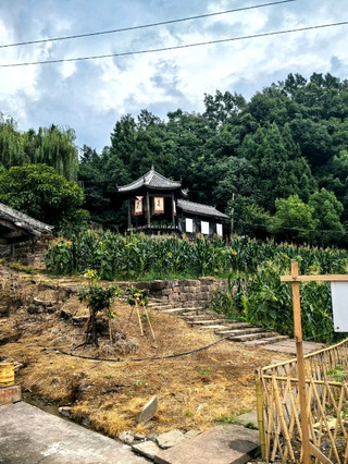🥾 Ancient Shu Road | Walking Through More Than Two Millennia of History