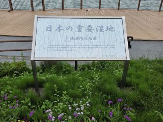 茨城県の重要湿地。