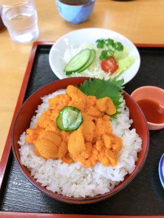 【ฮอกไกโด・เกาะริชิริ】อูนิที่ดีที่สุดในญี่ปุ่น! เกาะที่แต่งแต้มด้วยภูเขาริชิริและอูนิชั้นยอด