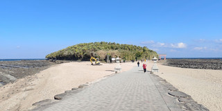 【宮崎の離島秘境】鬼の洗濯板を歩く！南国情緒あふれる「青島神社」参拝＆最新バス時刻表ガイド。