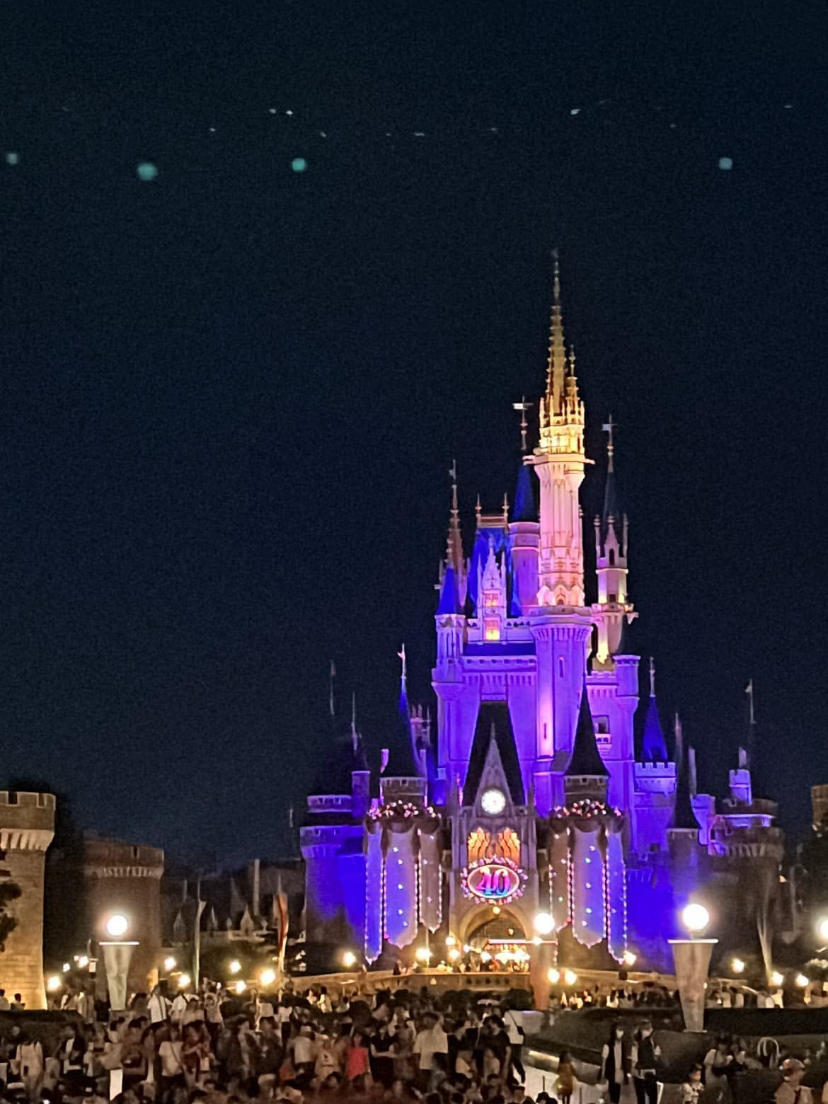 🎀 First time visiting Tokyo Disneyland, should I choose the ocean or the land?