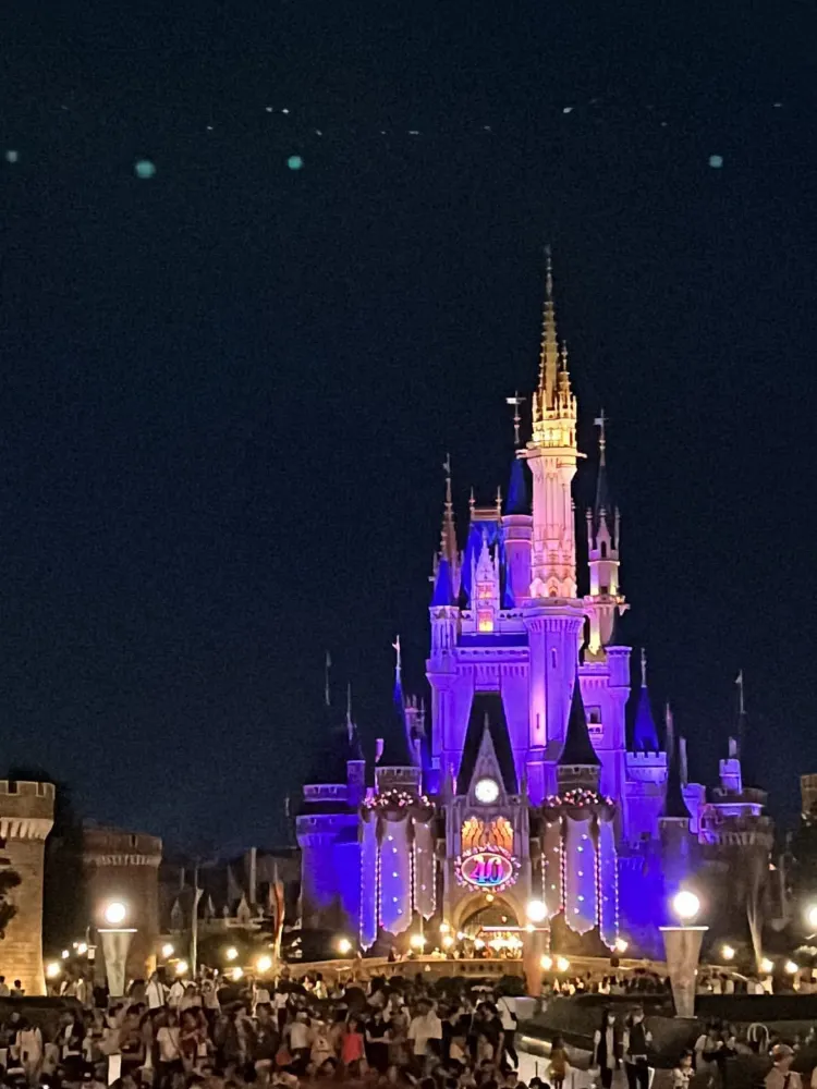 初めての東京ディズニー、シーとランドのどっちを選ぶべき？