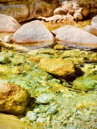#easytravelpost Cascade Canyon starts at the west shore of Jenny Lake (6,750 ft) in Grand Teton NP. I paid the 35 USD 7-day entry at the Moose-Wilson gate, parked at Jenny Lake East, and took the shuttle boat across at 08:15 — adult one-way 12 USD, round-trip 20 USD, cash or card at the East Dock, boats every 10–15 min, no reservation.

From the west dock it's 0.5 mi to Hidden Falls, then the canyon trail turns up the mossy forest: Engelmann spruce and subalpine fir with moss on every root, Cascade Creek roaring 20 ft below, 11°C at 09:00. By 09:40 at 1.2 mi the moss was ankle-deep in the seep lines, a moose had crossed the creek upstream, and the canyon walls closed to 100 ft apart. I sat on a moss boulder at 10:00, ate a 10 USD trail bar, and watched a pika dart across the talus.

Mistake: I wore trail runners and the creek-side moss was squelching by 09:30 — waterproof boots for the lower canyon even in August. Another: the last boat down is ~17:00; miss it and you walk 2.5 mi around Jenny Lake. Would you pay 12 USD for the Jenny Lake boat to save 2 mi and hit Cascade's mossy forest by 09:00, or hike the lake loop and start the canyon later?