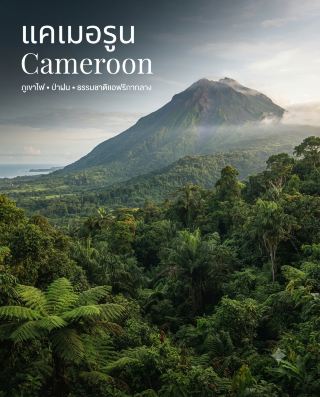🇨🇲 Cameroon is a very interesting country in Central Africa because it has a wide variety of landscapes all in one country.