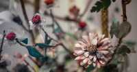 💎🌿 A Garden Made of Gems | Qing Dynasty Gemstone Bonsai at the Summer Palace Museum