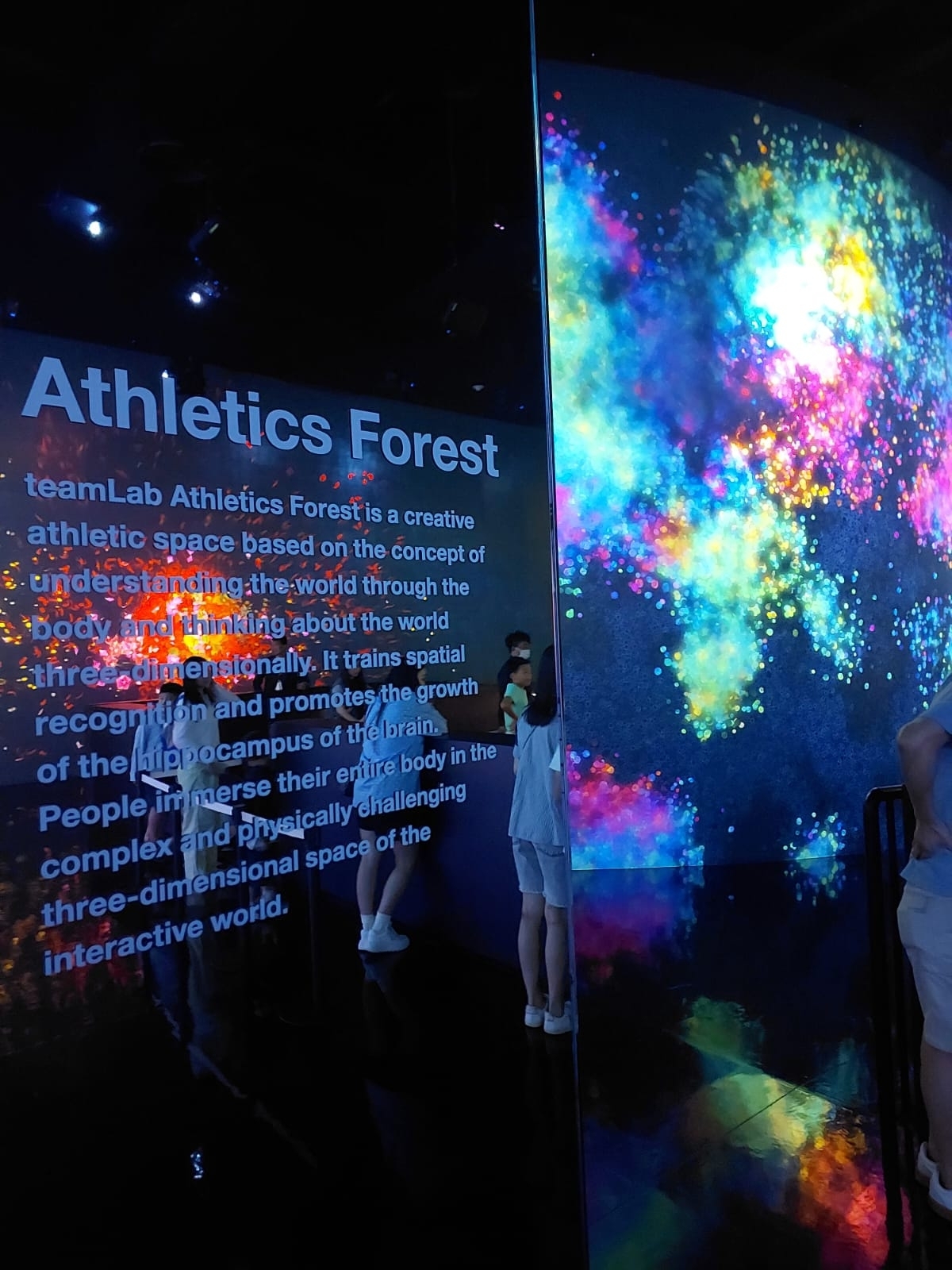 Make Your Macao City Break UNFORGETTABLE at teamLab SuperNature!