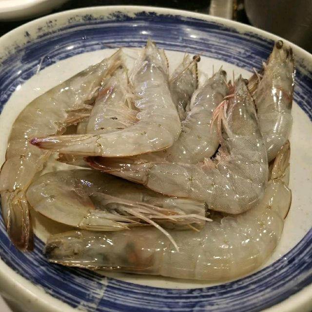 快樂的羔羊🎶
