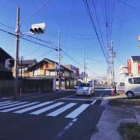 招財貓的故鄉-常滑市