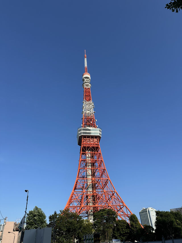 東京鐵塔🗼