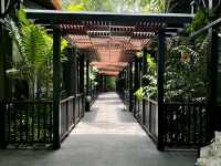 “The Ritz‑Carlton Langkawi: Secluded Rainforest Luxury with Butler‑Style Hospitality”