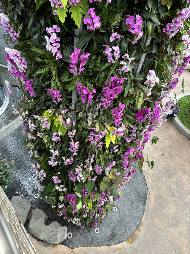 Shanghai Greenhouse Garden