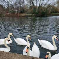 Stratford upon avon