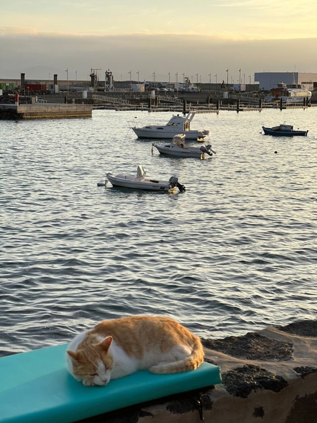 🇪🇸란사로테섬 playa blanca