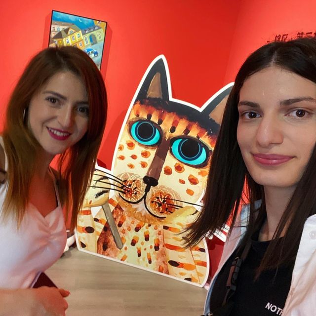 Find meow notice 🐈