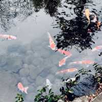【福井県/氣比神宮】