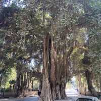 Cairo, A Gigantic Place with Rich History
