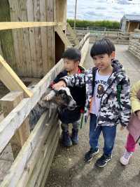 約克超抵玩大型遊樂園