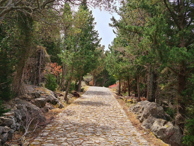 Venetian Castle of Assos 🏛️