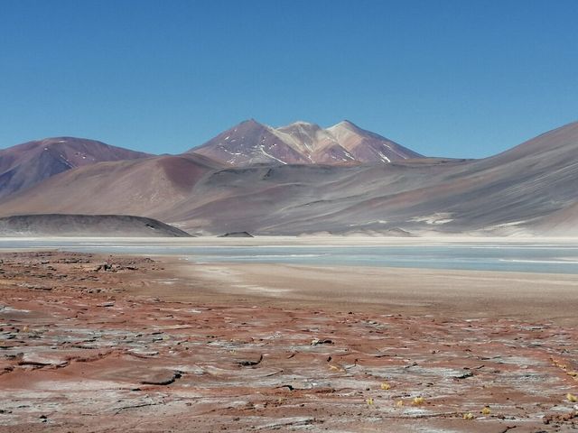 Stargazing in the Atacama Desert