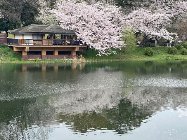 Mitsuike Park 🇯🇵