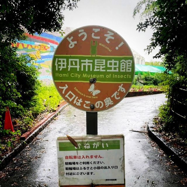 🐛伊丹市昆蟲館🐝日本標本數量最多的展覽