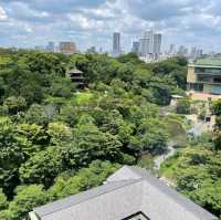 🌸東京椿山莊酒店🌸酒店庭院堪稱絕景