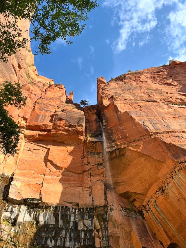 A visit to the National Park 🇺🇸