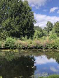 England｜Go to the Garden with local people, and enjoy the summer time