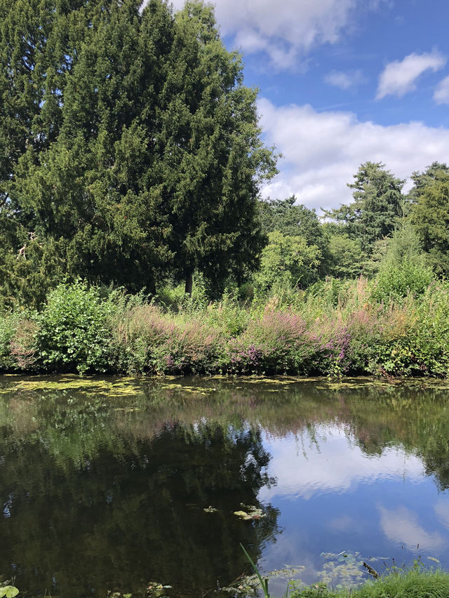 England｜Go to the Garden with local people, and enjoy the summer time