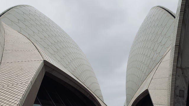 From Bali to Sydney: A Journey of Comfort and Iconic Sights