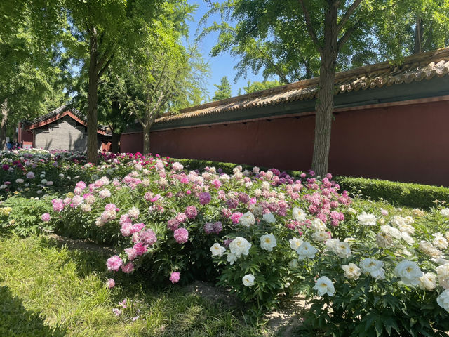 Unimaginable Forbidden CITY and Jingshan park