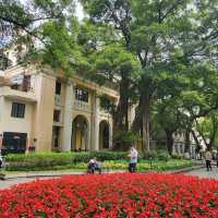 Shamian Island (沙面岛)🥰 Guangzhou