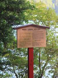 【東京的一天旅程:探索箱根神社和發現隱世頂流拉麵!】