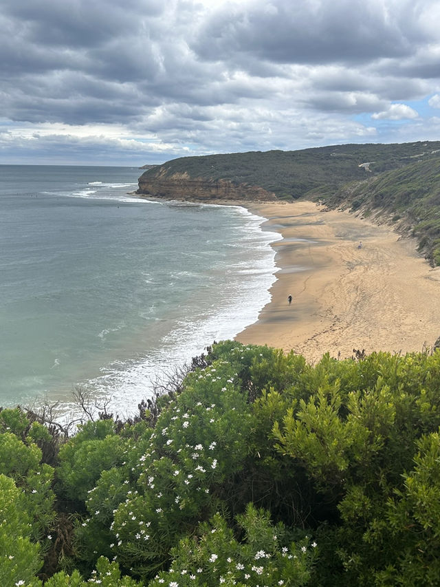 🌊🚗 The Ultimate Great Ocean Road Adventure: Wildlife & Iconic Views 🦘🐨