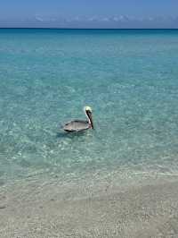 🏖️ Varadero: Caribbean Paradise in Cuba 🌴