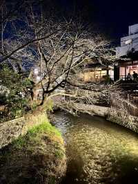 Beautiful Kyoto