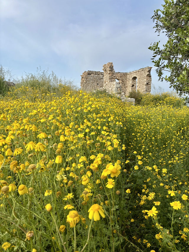 Abandoned yet amazing 