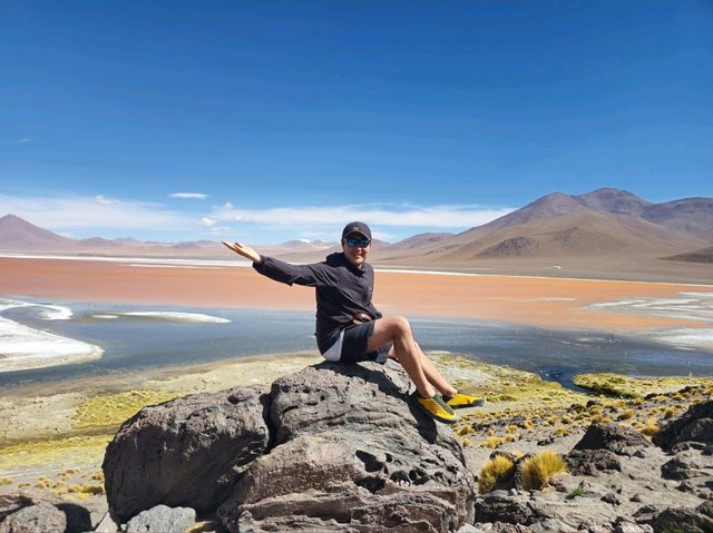 해외여행 볼리비아의 붉은 호수 Laguna Colorada