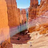 🌄 Bryce Canyon National Park: A Red Rock Dreamscape!